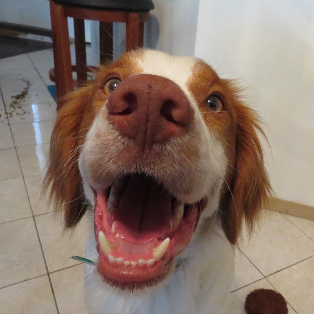 Meet your Posher, Makena